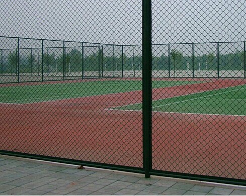 貴州球場(chǎng)網(wǎng)